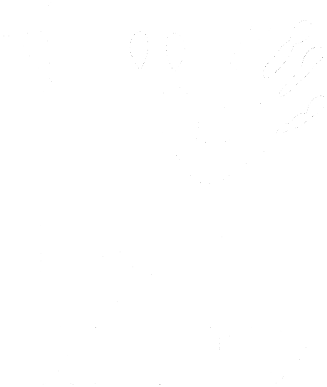 Vinokurov & Friends